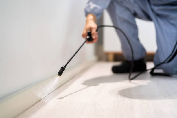 Certified termite inspector examining foundation in Los Ranchos de Albuquerque